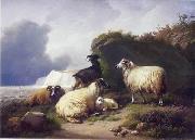 unknow artist Sheep 157 oil painting on canvas